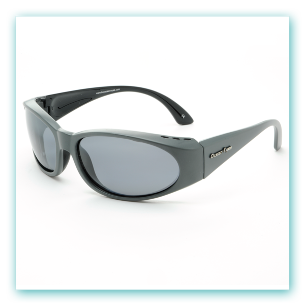Go Fish - Matte Gray Frame with Bigradient Smoke Lenses  3000